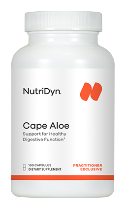 Cape Aloe